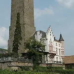 David * Lorch am Rhein