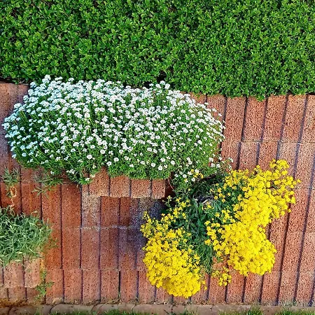 David Апартаменты Лорх