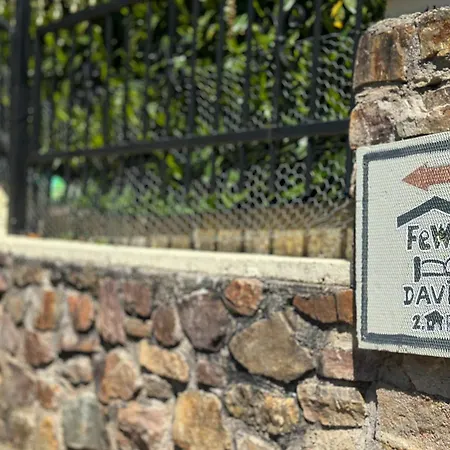 David *