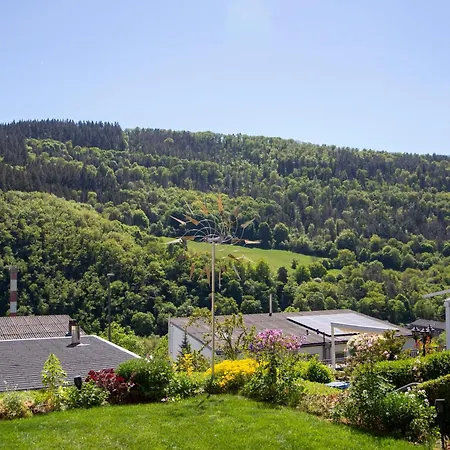 David Apartman Lorch am Rhein