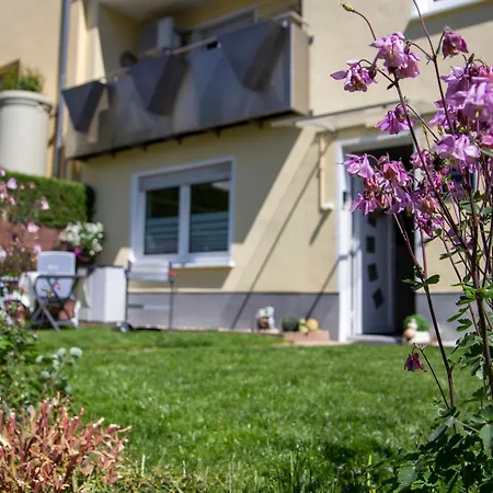 Apartman David Lorch am Rhein