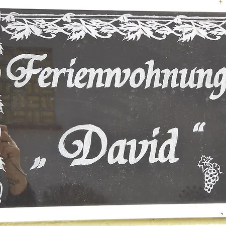 David Lorch am Rhein