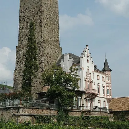 David * Lorch am Rhein