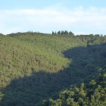 David Апартаменты