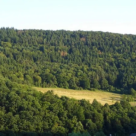 Апартаменты David *