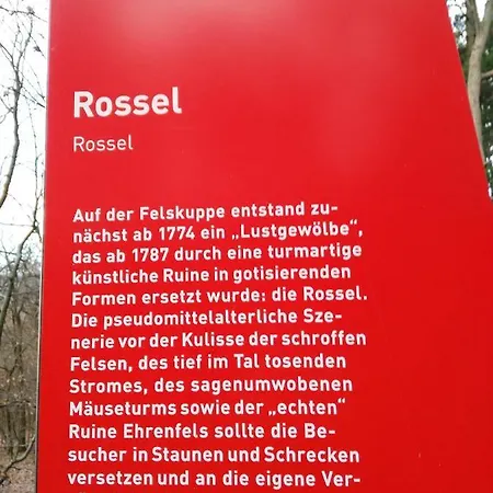 Апартаменты David