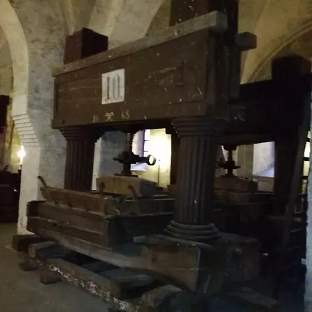 Апартаменты David Лорх