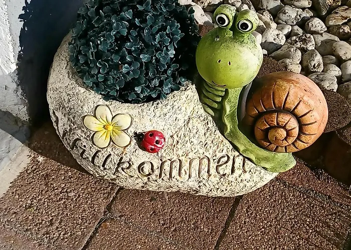 David لورش ام راين