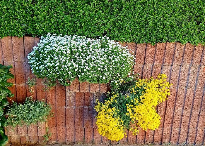 David شقة لورش ام راين