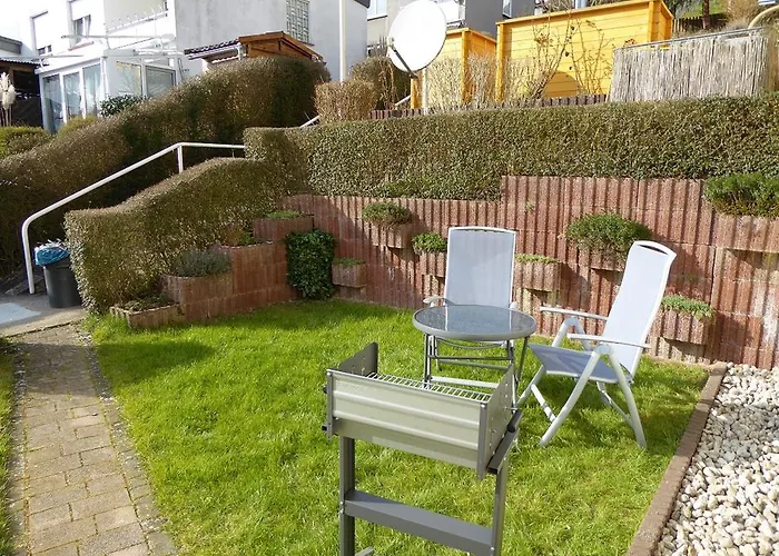 David لورش ام راين