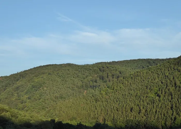 David لورش ام راين