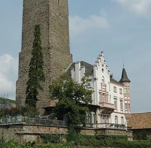 David * لورش ام راين