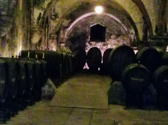 David * لورش ام راين