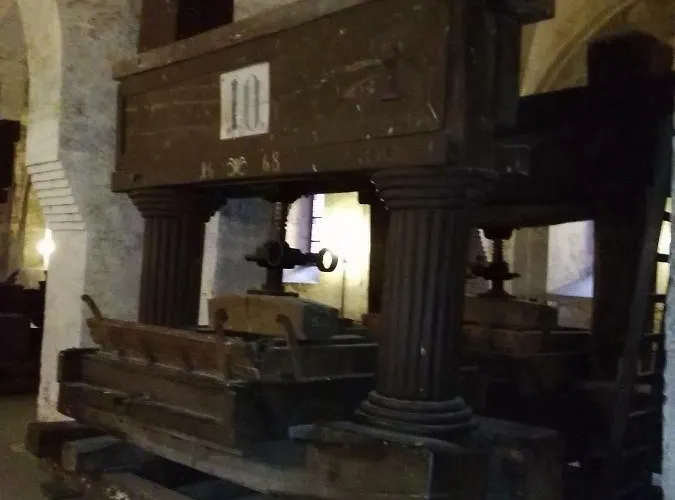 شقة David لورش ام راين